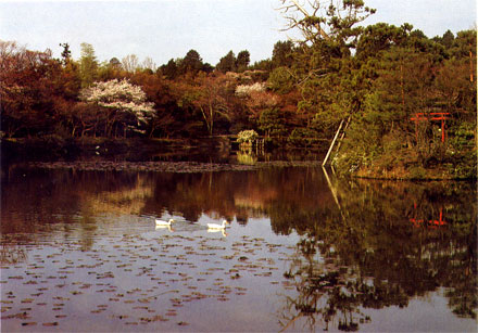 Estanque templo Ryoanji