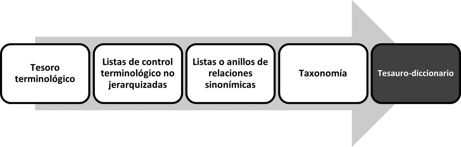 Ruta crítica hasta la creación del Tesauro