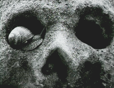 Calavera en Seldec