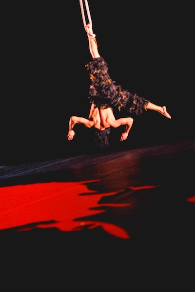 Contradanza, La danza de los cisnes. F: BH