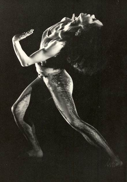 E. Pardavé